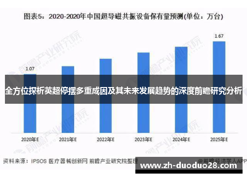全方位探析英超停摆多重成因及其未来发展趋势的深度前瞻研究分析