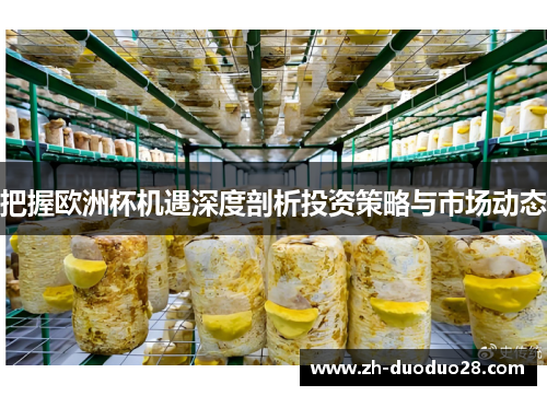 把握欧洲杯机遇深度剖析投资策略与市场动态