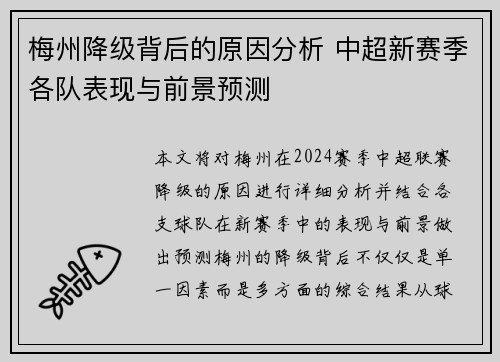 梅州降级背后的原因分析 中超新赛季各队表现与前景预测